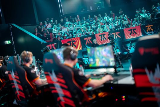 成熟度的体 成熟度的体