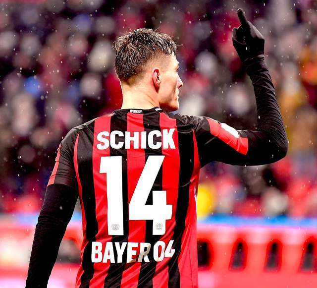 创意与观赏 创意与观赏