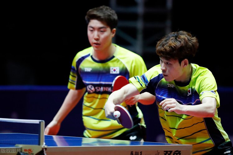 他们的作用 他们的作用